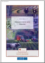 Károssy Ágnes - Növények külső és belső felépítése