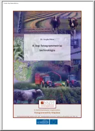 Dr. Engler Péter - A légi