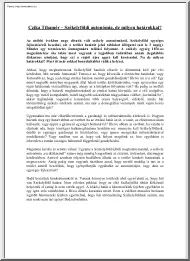 Czika Tihamér - Székelyföldi autonómia, de milyen határokkal?