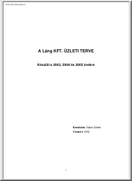Gábor Zoltán - A Láng Kft. üzleti