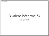 Csoknyai Tamás - Bivalens hőtermelők
