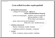 Cyta nélküli herediter nephropathiák