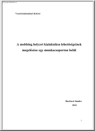 Barkóczi Sándor - A mobbing helyzet