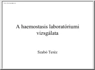 Szabó Teréz - A haemostasis