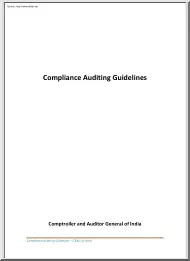 Compliance Auditing Guidelines