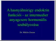 Dr. Miklós Zsuzsanna - A hasnyálmirigy endokrin funkciói, az intermedier anyagcsere hormonális szabályozása