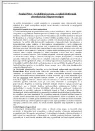 Somlai Péter - A sokféleség zavara