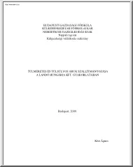 Kézi Ágnes - Túlméretes és túlsúlyos áruk szállítmányozása a Landó Hungárai Kft gyakorlatában