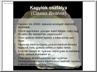 A kagylók osztálya