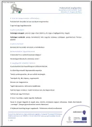 Szabóné Sinkó Tünde - Puhatestűek