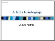 Dr. Eke András - A látás fiziológiája I-II-III