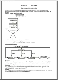 Menedzsment tételek, 2003