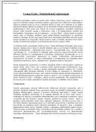 Csoma Gyula - Felnőttoktatási