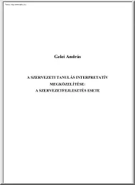 Gelei András - A szervezeti tanulás