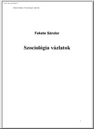 Fekete Sándor - Szociológia vázlatok