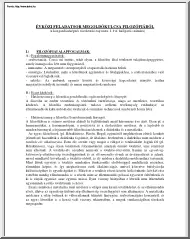 Filozófiai alapfogalmak