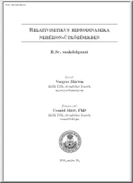 Vargyas Márton - Relativisztikus hidrodinamika nehézion ütközésekben