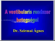 Dr. Szirmai Ágnes - A vestibularis rendszer betegségei