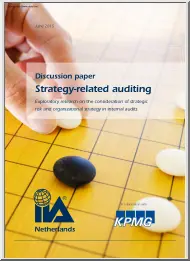 Strategy Related Auditing, Discussion Paper