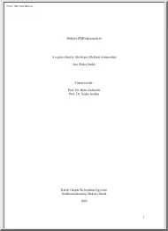 Riskó Enikő - A regényelemzés