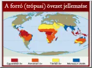 A forró (trópusi) övezet jellemzése