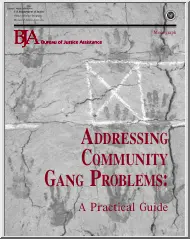 Addressing Community Gang Problems, A