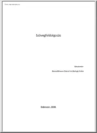 Benediktsson-Balogh - Szövegfeldolgozás