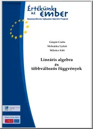 Gáspár-Molnárka - Lineáris algebra