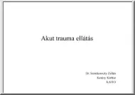 Dr. Szentkereszty Zoltán - Akut trauma