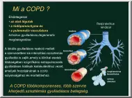 Mi a COPD