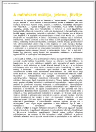 A méhészet múltja, jelene, jövője