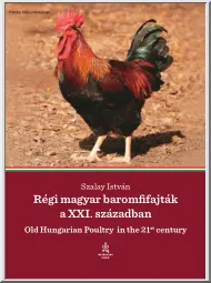 Szalay István - Régi magyar