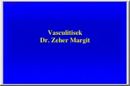 Dr. Zeher Margit - Vasculitisek