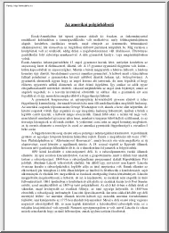 Kun Judit -  Az amerikai