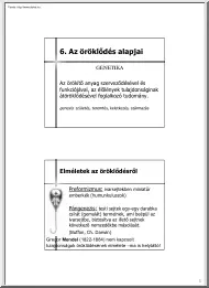 Az öröklődés alapjai