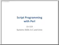 Script Programming with Perl
