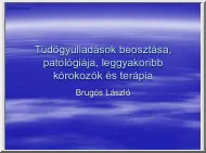 Brugós László - Tüdőgyulladások beosztása, patológiája, leggyakoribb kórokozók és terápia