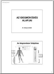 Dr. Benyó Zoltán - Az idegműködés