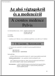 Az alsó végtagokról és a