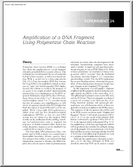 Amplification of a DNA Fragment Using