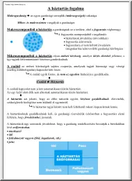 A háztartás fogalma