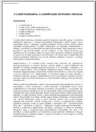 A család kialakulása
