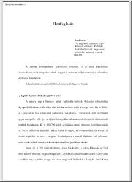 A honfoglalás