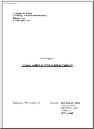 Bűdi Adrienn Katalin - Hogyan alakul az USA munkaerőpiaca?