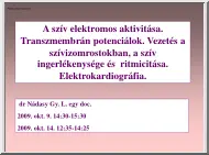 dr. Nádasdy Gy. L. - A szív
