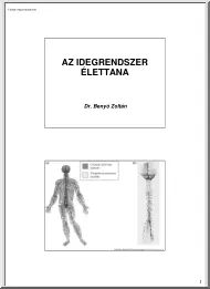 Dr. Benyó Zoltán - Az idegrendszer élettana