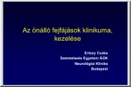Ertsey Csaba - Az önálló