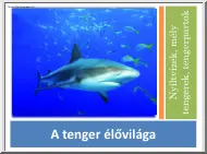 A tenger élővilága