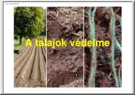 A talajok védelme