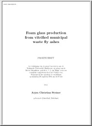 Arjen Christian Steiner - Foam glass production from vitrified municipal waste fly ashes